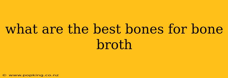 what are the best bones for bone broth