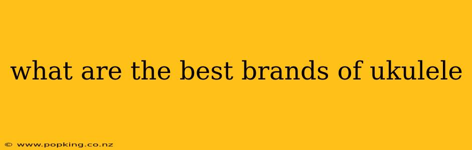 what are the best brands of ukulele