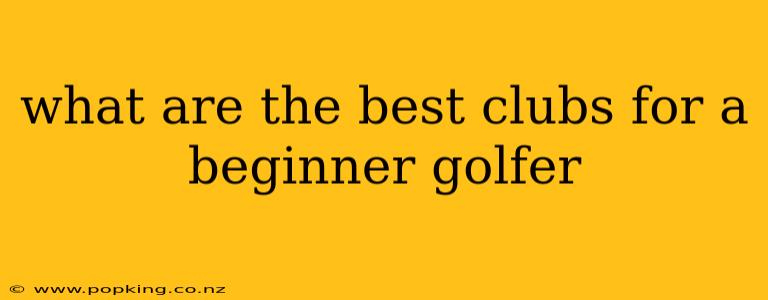 what are the best clubs for a beginner golfer