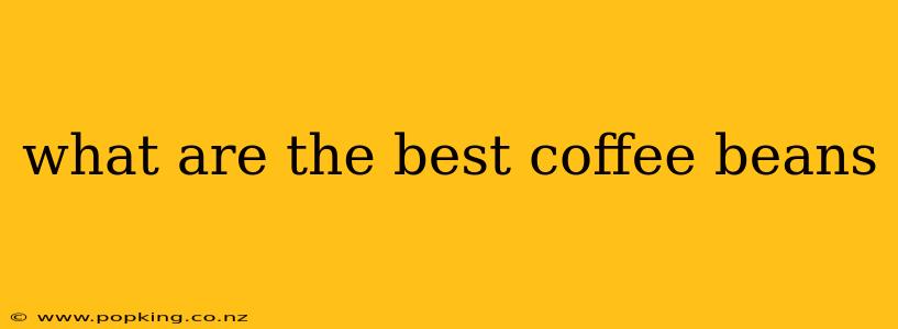 what are the best coffee beans