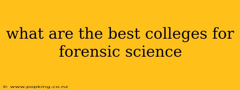 what are the best colleges for forensic science