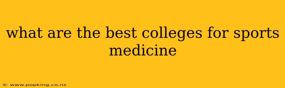 what are the best colleges for sports medicine