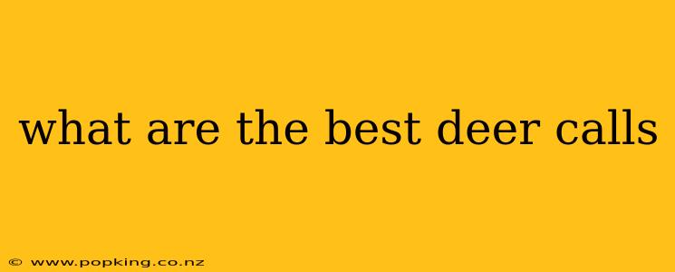 what are the best deer calls