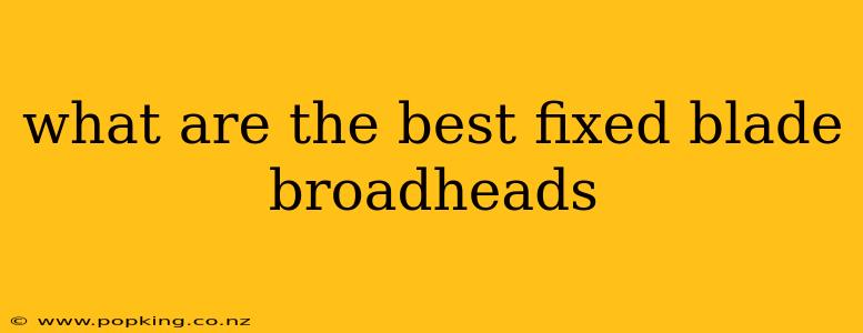 what are the best fixed blade broadheads