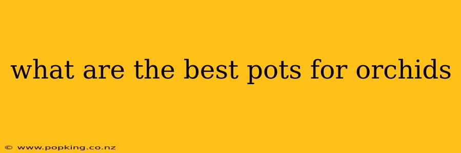 what are the best pots for orchids