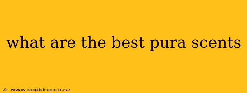 what are the best pura scents