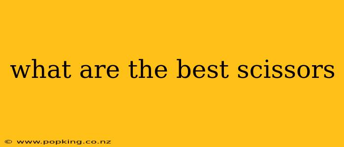 what are the best scissors