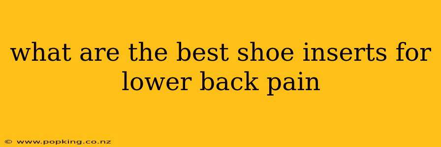what are the best shoe inserts for lower back pain