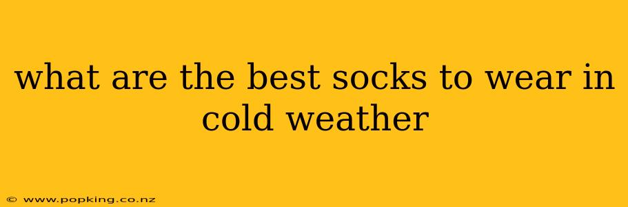 what are the best socks to wear in cold weather