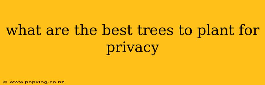 what are the best trees to plant for privacy