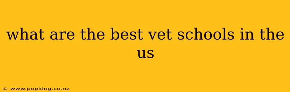 what are the best vet schools in the us