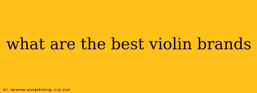 what are the best violin brands