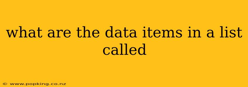 what are the data items in a list called