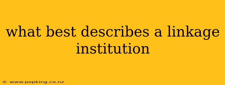 what best describes a linkage institution
