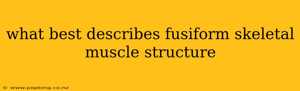 what best describes fusiform skeletal muscle structure