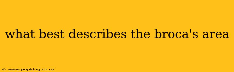 what best describes the broca's area