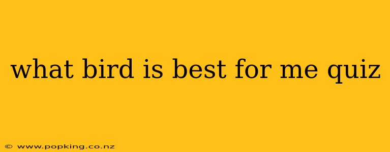 what bird is best for me quiz