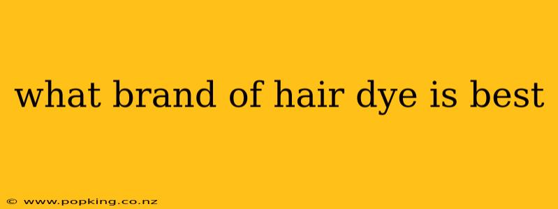 what brand of hair dye is best