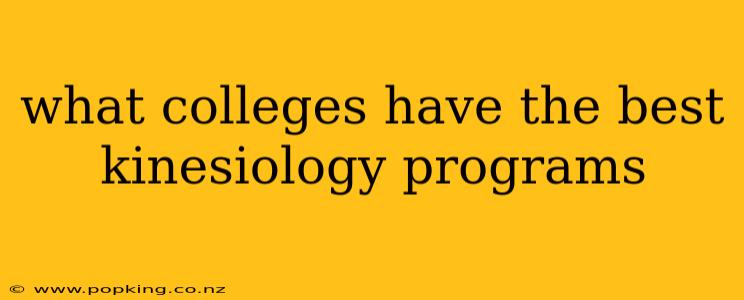 what colleges have the best kinesiology programs