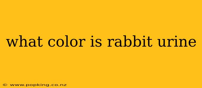 what color is rabbit urine