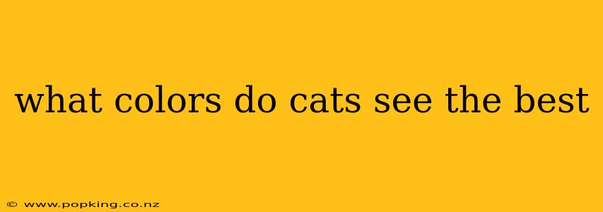 what colors do cats see the best