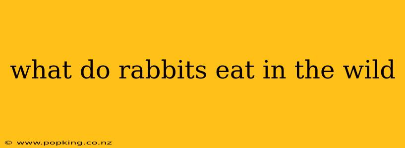 what do rabbits eat in the wild