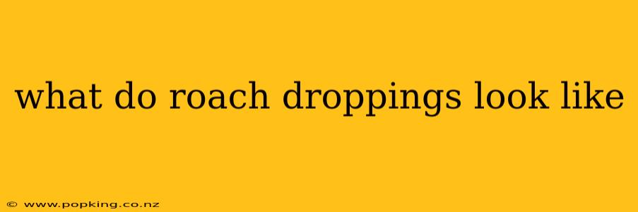 what do roach droppings look like
