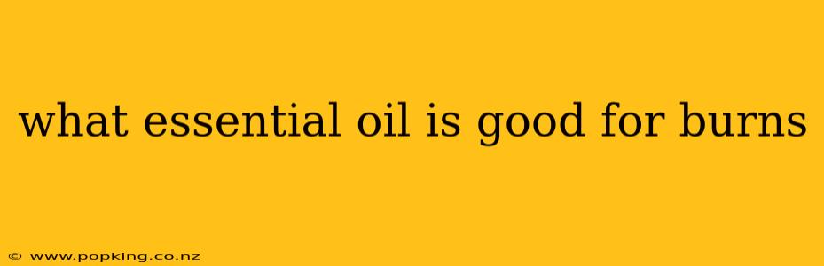what essential oil is good for burns