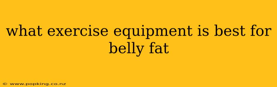 what exercise equipment is best for belly fat