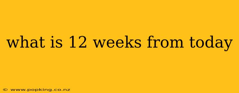 what is 12 weeks from today