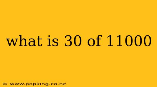 what is 30 of 11000