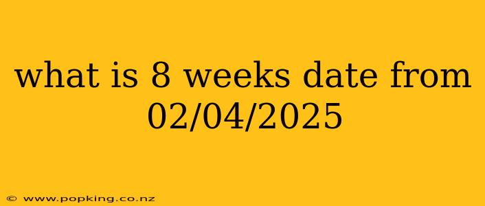 what is 8 weeks date from 02/04/2025