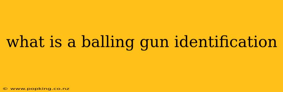 what is a balling gun identification