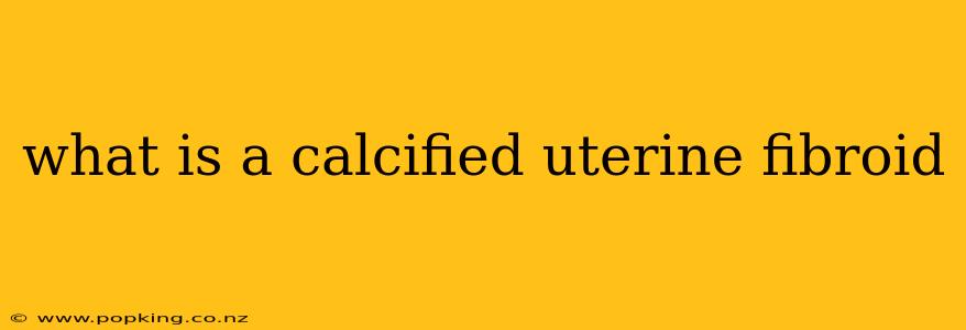 what is a calcified uterine fibroid