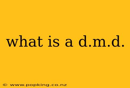 what is a d.m.d.