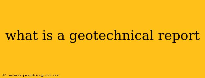 what is a geotechnical report