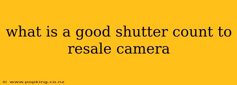 what is a good shutter count to resale camera