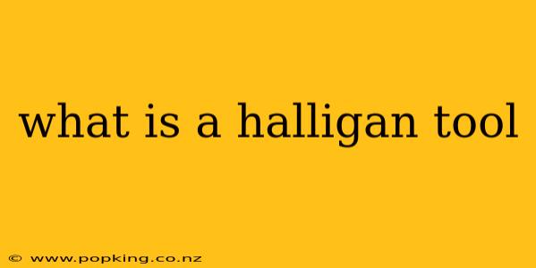 what is a halligan tool