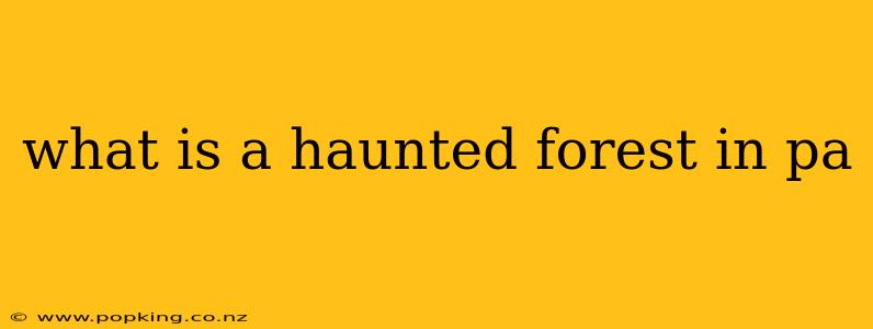 what is a haunted forest in pa