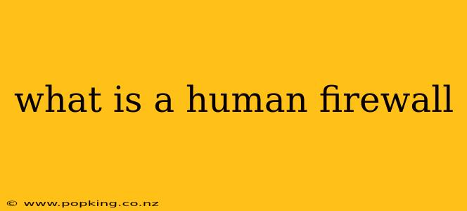 what is a human firewall