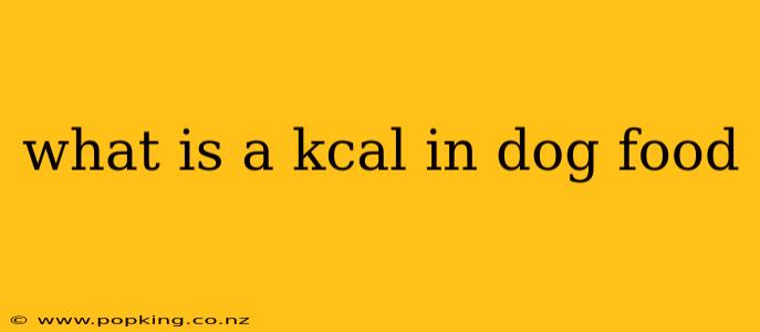 what is a kcal in dog food