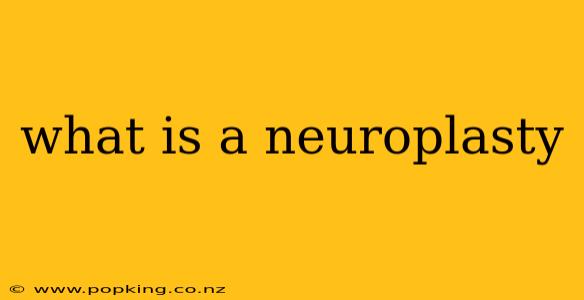 what is a neuroplasty