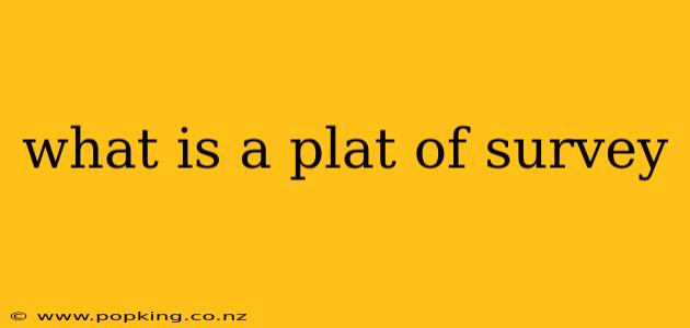 what is a plat of survey