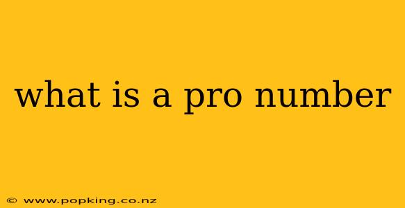 what is a pro number