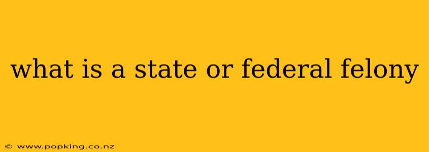 what is a state or federal felony