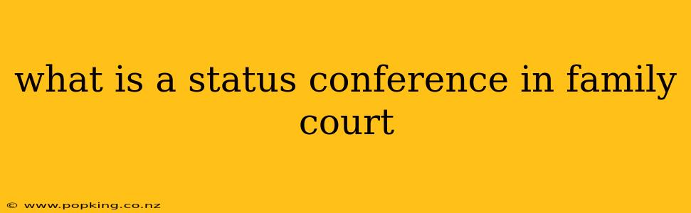 what is a status conference in family court