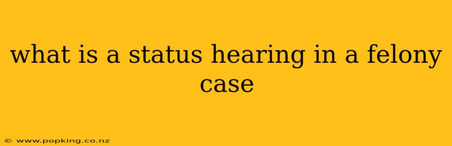 what is a status hearing in a felony case