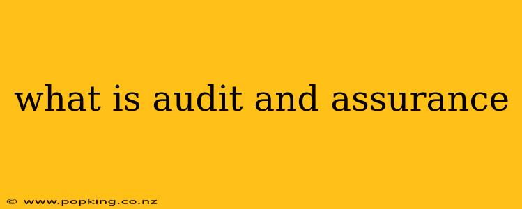 what is audit and assurance