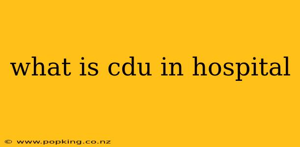 what is cdu in hospital