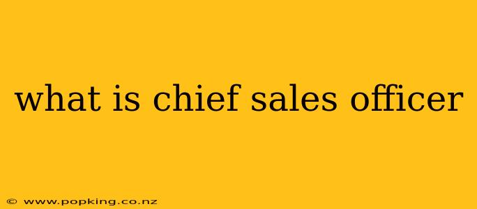 what is chief sales officer